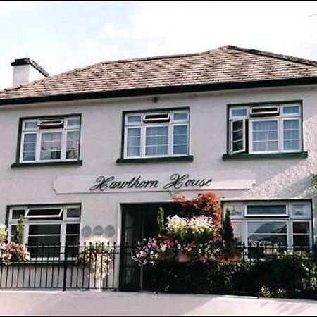 Hawthorn House Guesthouse Kenmare Extérieur photo