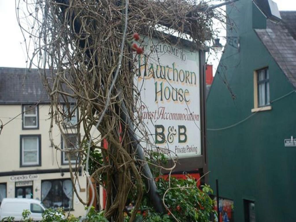 Hawthorn House Guesthouse Kenmare Extérieur photo